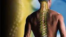 Spine Surgery-vishalsurgical.co.in